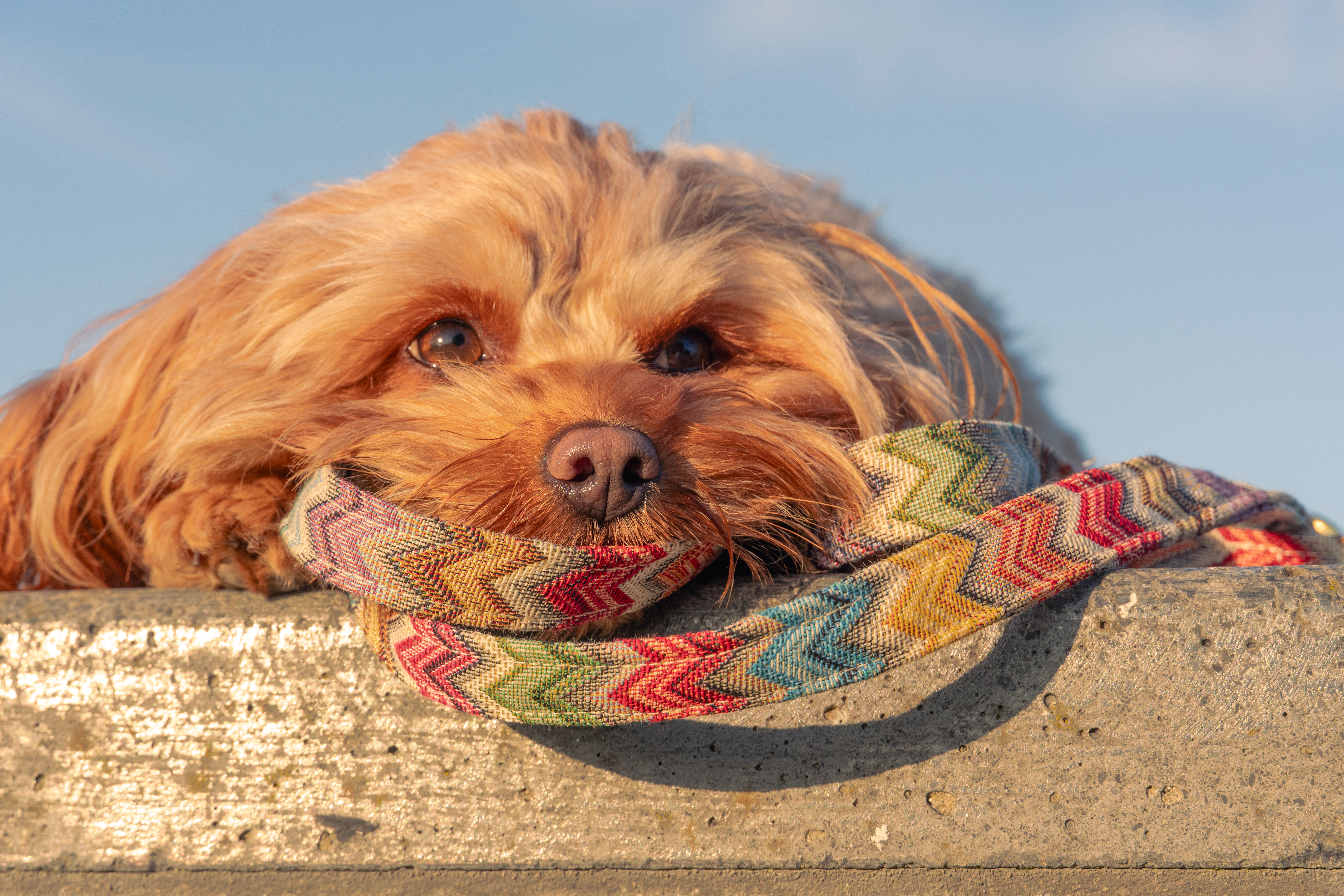 Brand & Lifestyle Fotografie