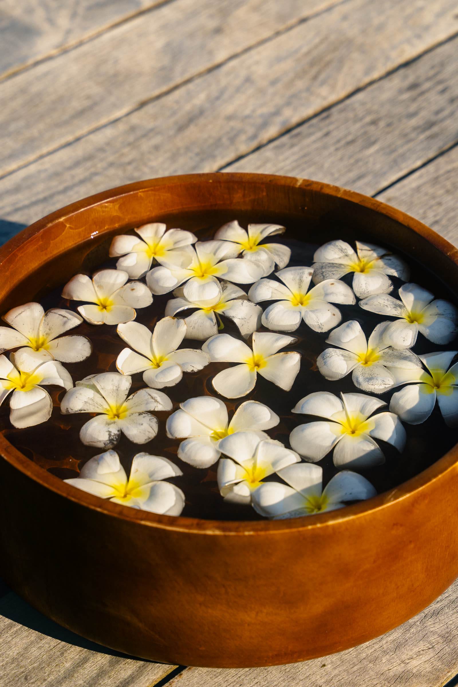 Frangipani-Blüten im Wasser
